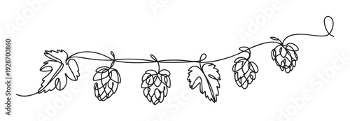 Continuous line drawing of hop cones and leaves on a vine symbolizing brewing and natural ingredients ideal for beer labels packaging and food industry marketing materials