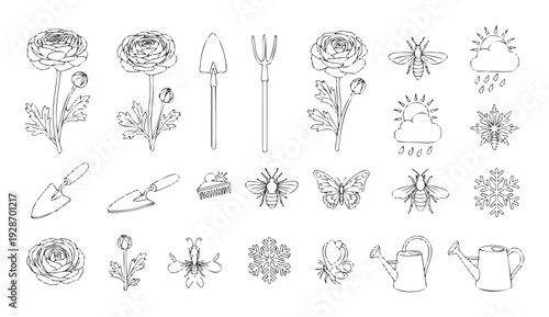 Set of detailed black and white line illustrations featuring ranunculus flowers, useful gardening tools, flying insects, and diverse weather symbols for various seasonal and naturethemed
