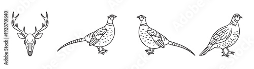 Classic hunting game animals set featuring a magnificent deer head skull with branching antlers, elegant pheasants, and a game bird, ideal for outdoor sports and wildlife themed graphic