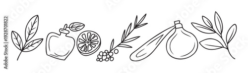 Monochrome graphic presenting organic botanicals and fragrance containers ideal for essential oil packaging wellness branding and spa product promotion visuals