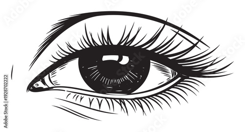 A detailed black and white line drawing of a stylized human eye with prominent eyelashes, perfect for cosmetic product branding, abstract publications, or visual media designs.