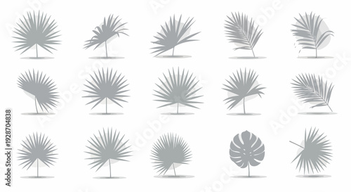 흰색 배경에 고립된 다양한 열대 야자수 잎과 몬스테라 잎 실루엣 벡터 아이콘 세트, 자연 디자인 요소를 위한 컬렉션으로 그래픽 프로젝트에 활용하기 좋습니다.