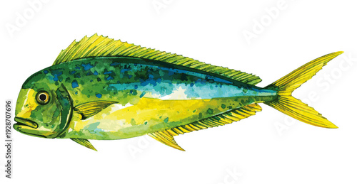 Tropical Mahi-Mahi Fish Realistic Watercolor Painting