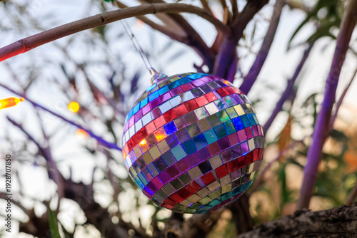 Photography Colorful rainbow-mirrored disco ball ornament hanging in between tree twigs toge