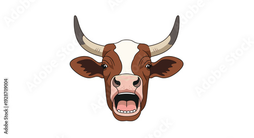 The head of a brown and white cow with large horns screams or moos loudly with its mouth wide open, isolated.