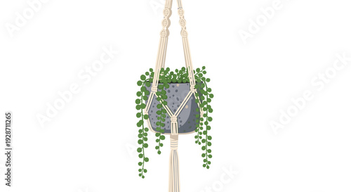 A string of pearls plant with abundant green leaves in a grey concrete pot is suspended by a decorative macrame hanger against a minimalist white background.