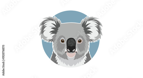 A close-up front view of an adorable koala bear's head with large furry ears against a simple light blue circle background.