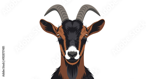 A close-up frontal portrait of a brown and black goat's head with long curved horns and bright eyes against a plain white background.