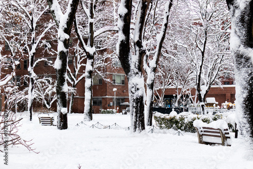 New York City after the Blizzard
