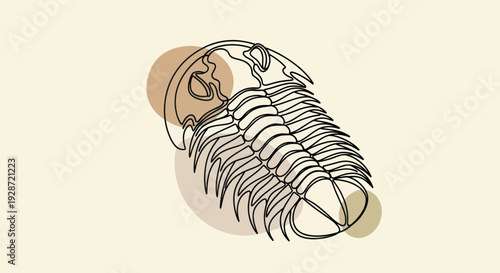 Trilobite Fossil Illustration Detailed Drawing Ancient.