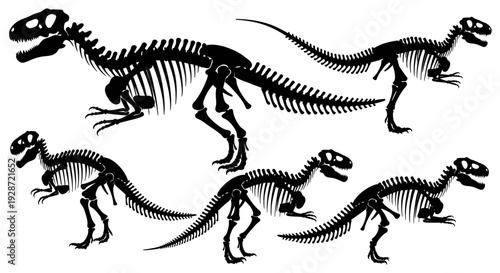 Dinosaur Skeletons in Various Poses.