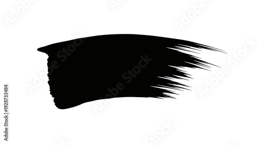 Black brush stroke on white background
