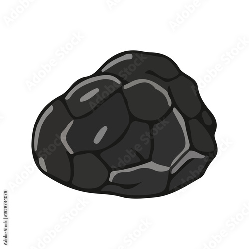 Black Truffle Illustration