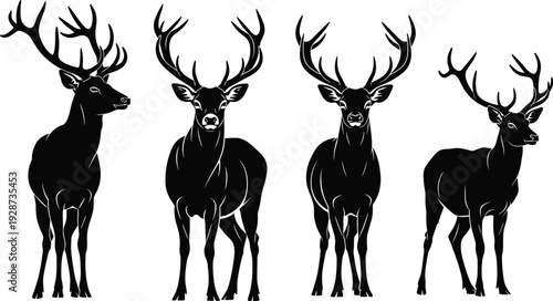 Deer silhouette set collection, majestic buck with large antlers, wild animal stag in nature, forest wildlife, hunting trophy, woodland fauna.