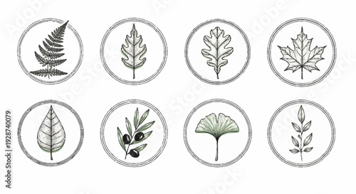 Collection of various leaf illustrations in circular frames showcasing different botanical elements and foliage