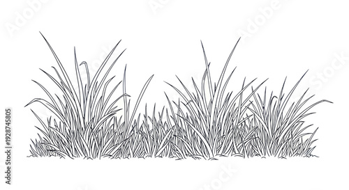 Detailed Sketch of Lush Green Grass Blades in a Field.