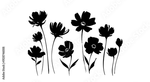 Elegant Black Silhouettes of Wildflowers in a Minimalist Style.