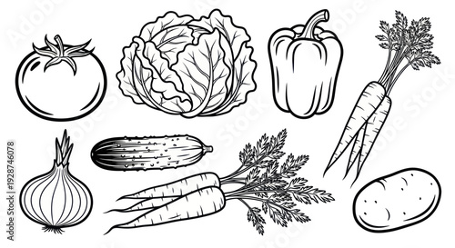 Fresh Vegetable Collection Hand Drawn Outline Illustration.