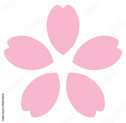 桜の花のベクターイラスト。春、さくら、ピンク