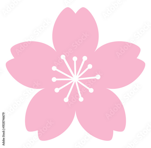 桜の花のベクターイラスト。春、さくら、ピンク