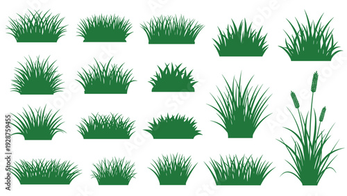 Collection of various green grass tufts and botanical silhouettes isolated on a white background for design elements.