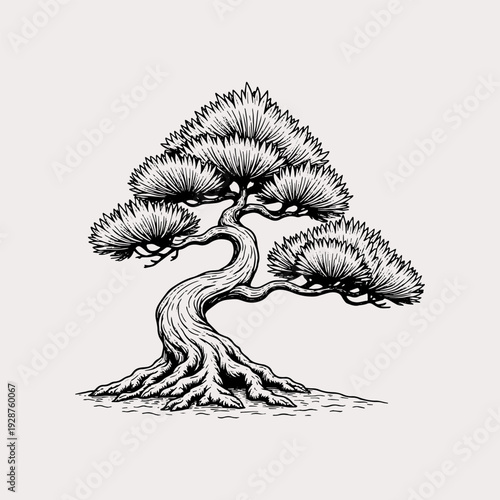 Detailed bonsai tree line art on white background
