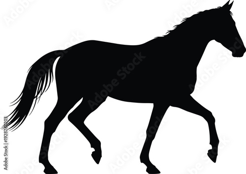 Black horse silhouette walking isolated on white background, elegant stallion profile outline for equestrian sports, majestic animal vector graphic for logo and design elements.