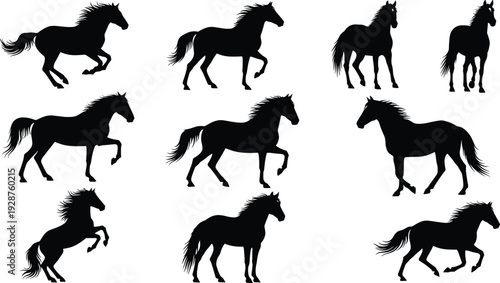 Black horse silhouettes set isolated on white background, wild stallion running, jumping, rearing, and walking, equine poses collection, animal shadow vector, equestrian sport graphics, stallions.