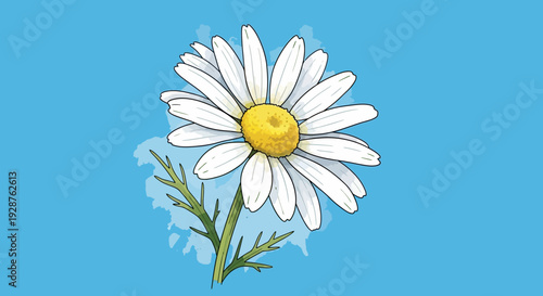 A beautiful macro blossom of a white daisy flower with yellow petals blooms against a vibrant blue sky background, capturing the essence of spring flora and summer nature