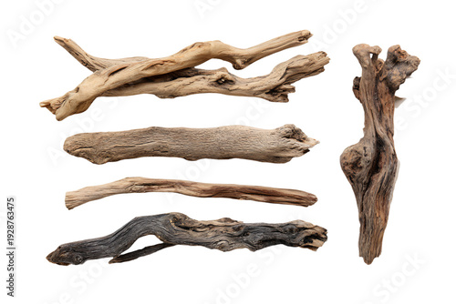 Collection of Driftwood Sticks on White Background