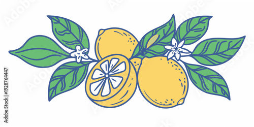 Stylized illustration of lemons slices leaves and blossoms arranged in a decorative sprig