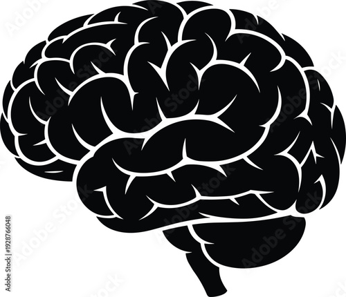 Black silhouette of human brain with detailed folds and anatomy, medical illustration, neuroscience concept, mental health, intelligence symbol, isolated on white background