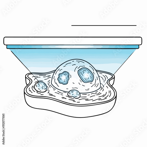 alien embryo in petri dish under laboratory light.