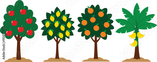 Flat vector illustration set of diverse fruit trees including apple lemon orange and banana trees with ripe fruit for agriculture nature and gardening branding