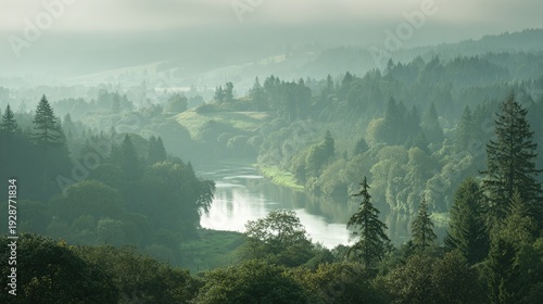 willamette. Willamette River winding through misty Oregon valley at sunrise. travel magazines, destination branding, designed for travel destination branding, used by clinicians.