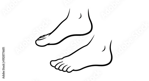 Detailed illustration of two human feet, showcasing the anatomy and form in a simple line drawing.