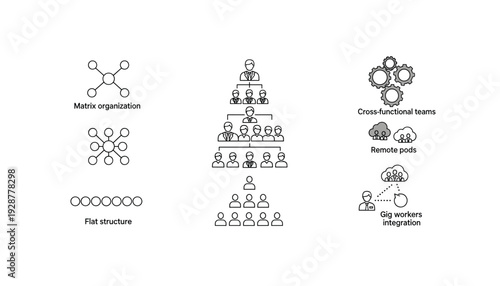 Business organizational structures for modern companies