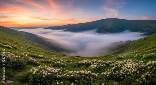 Foggy Mountain Landscape with Wildflowers at Sunset.