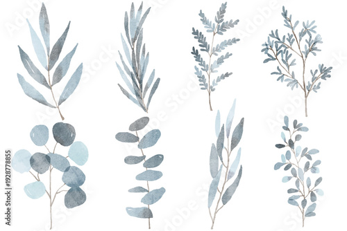 Set of watercolor winter leaves. Winter watercolor floral leaves, branches, twigs etc. Watercolor traced isolated greenery illustration. Spring, summer, autumn leaves.
