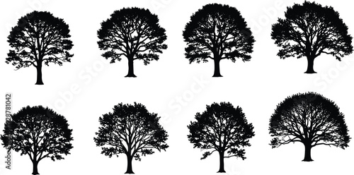 Realistic tree silhouette collection, detailed forest foliage shapes, natural botanical elements, black woodland icons, organic nature vector illustration bundle pack