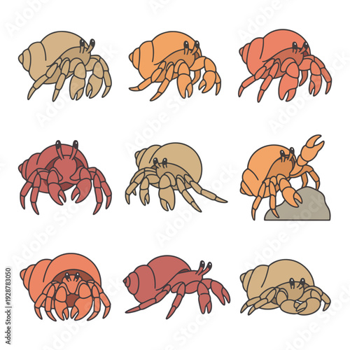 Hermit Crab Pose Flat Vector Illustration Set