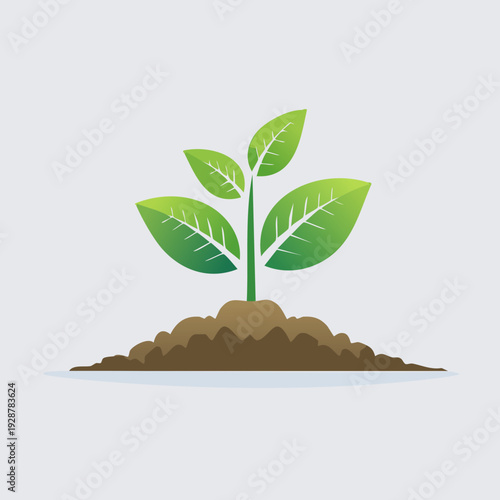 Green sprout growing from soil isolated on white background.