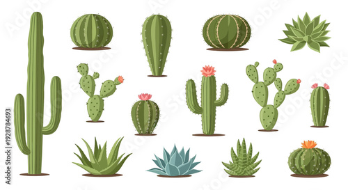 Variety of Cacti and Succulent Plants.