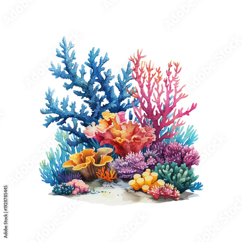 coral reef underwater hand drawn vector illustration