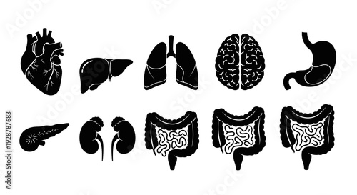 Complete Human Internal Organs and Digestive System Black Icon Set