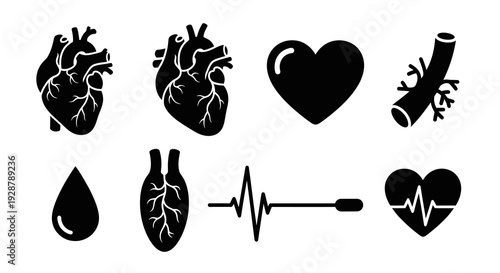 Cardiovascular Cardiology Heart and Blood Vessel Icon Set for Medicine
