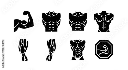 Male Body Muscle Anatomy Icon Set Fitness Workout Gym Vector