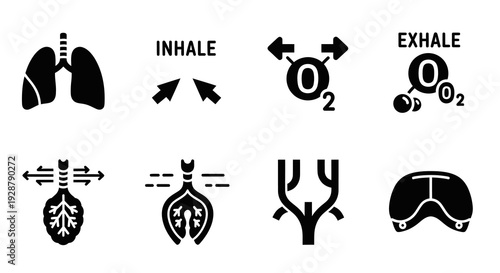 Breathing Process Inhale Exhale Respiratory Medical Diagram Icon Set