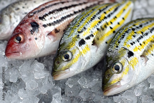 Wallpaper Mural Fresh fish on ice at market. Torontodigital.ca