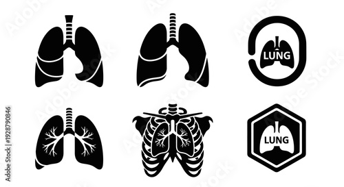 Human Lung Respiratory Organ Medical Logo Symbol Anatomy Vector Illustration